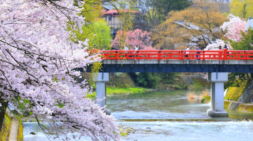 中橋